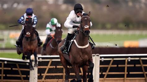 cheltenham going report|Cheltenham Racecourse.